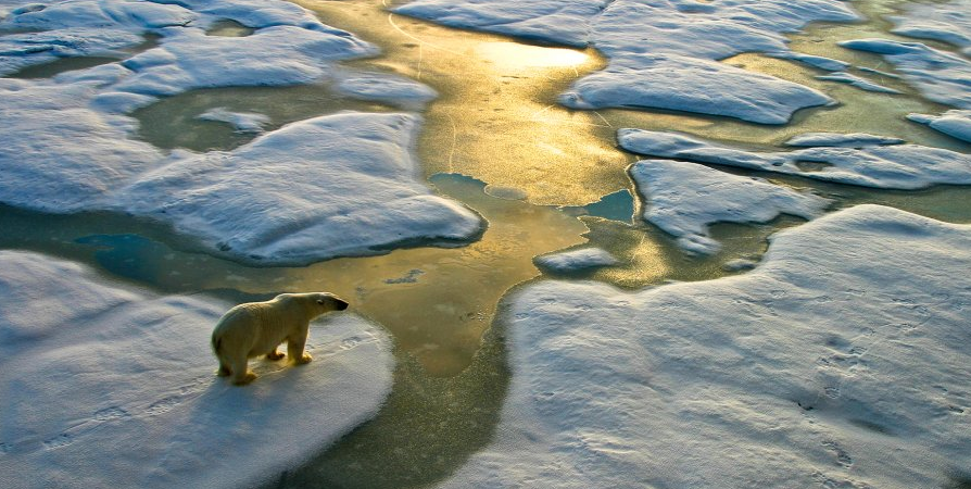 Climate change is one subject that everyone can benefit from understanding more deeply. (GETTY IMAGES)