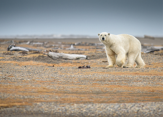 Course in Climate Change