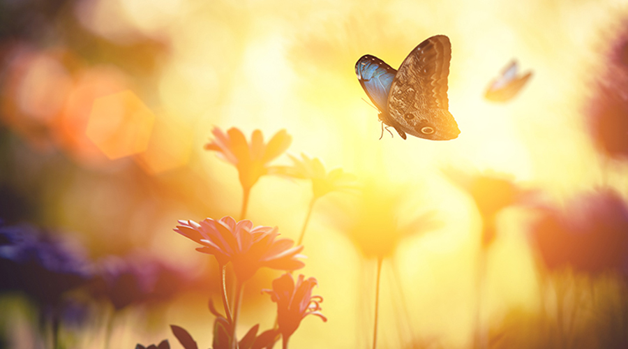 embracing scientifically-sound strategies to enhance well-being, build resilience, and increase our ability to thrive in the face of adversity 