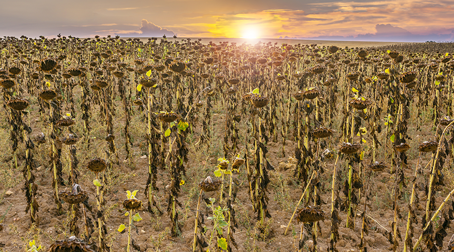 Why it’s important to learn about climate change