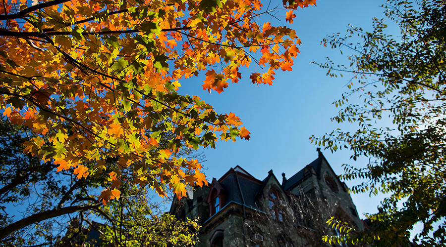 Penn Campus in the Fall