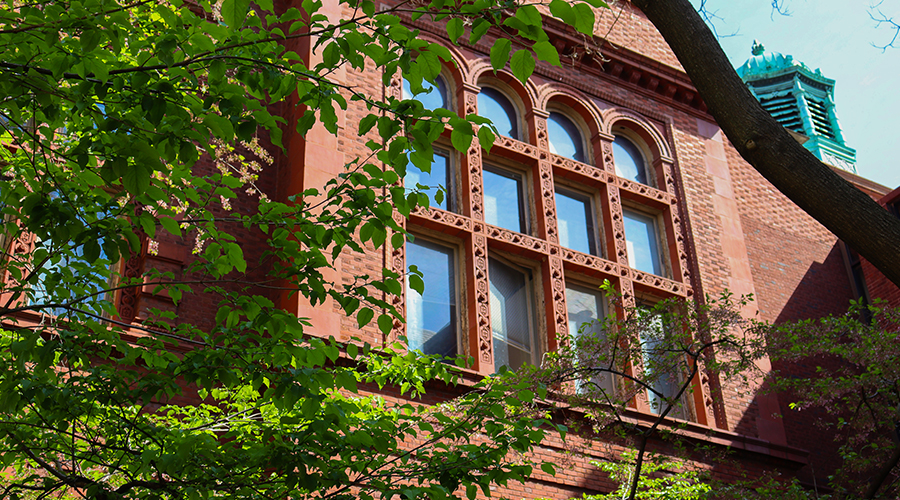 Photo of Penn Campus in the spring