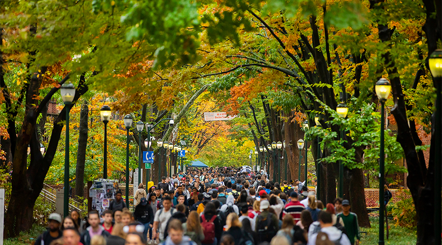 Photo of Penn Campus in the fall