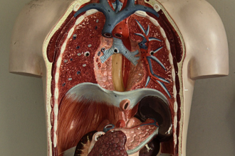 Foundations of Life Sciences course