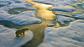 Climate change is one subject that everyone can benefit from understanding more deeply. (GETTY IMAGES)