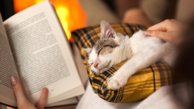 Photo of a person reading a book while petting a cat